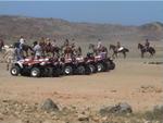 Aruba-011.JPG