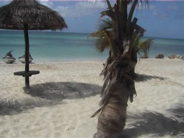 Aruba-014.JPG