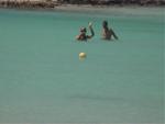Aruba-087.JPG