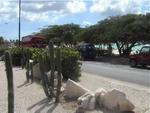 Aruba-097.JPG