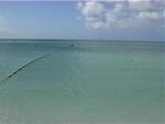 Aruba-103.JPG