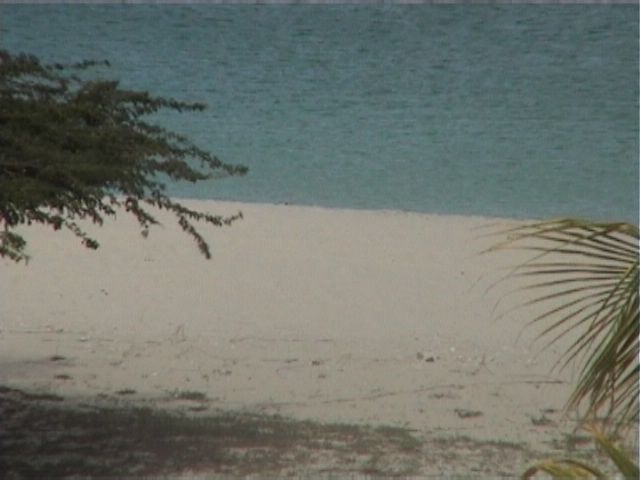 Aruba-156.JPG