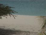 Aruba-156.JPG