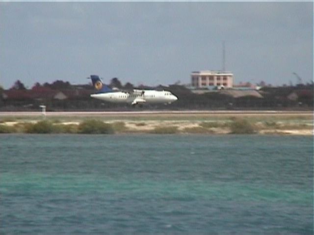 Aruba-165.JPG
