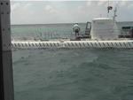 Aruba-167.JPG