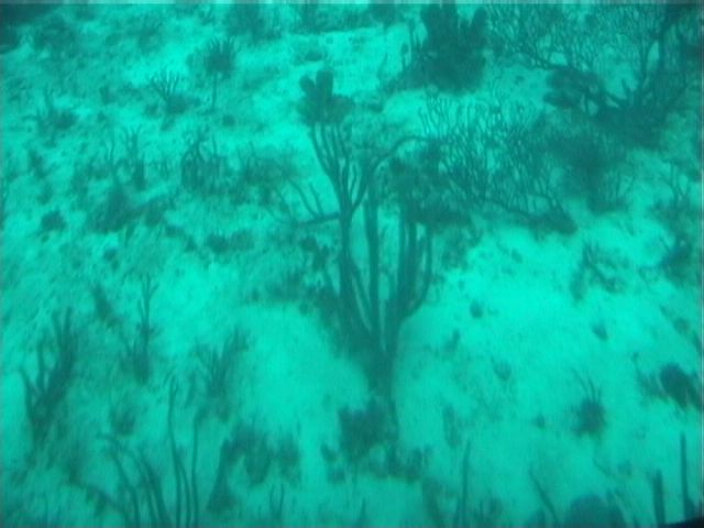Aruba-179.JPG