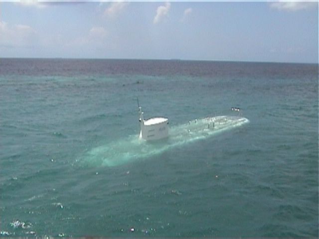 Aruba-215.JPG