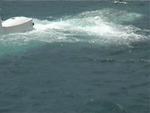Aruba-217.JPG
