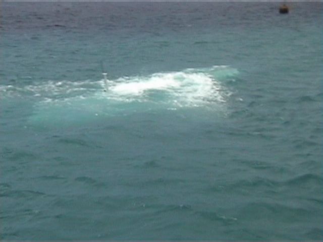 Aruba-218.JPG