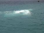 Aruba-218.JPG