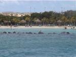 Aruba-222.JPG