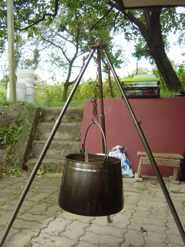 Berba-033.JPG