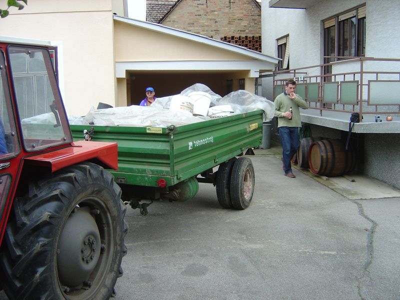 Berba-119.JPG