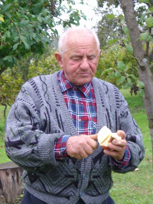 Berba-159.JPG