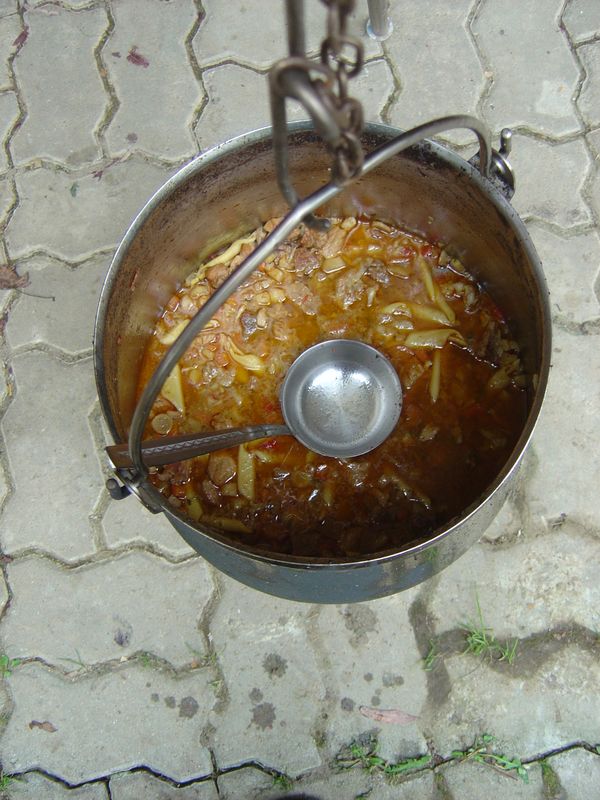 Berba-168.JPG