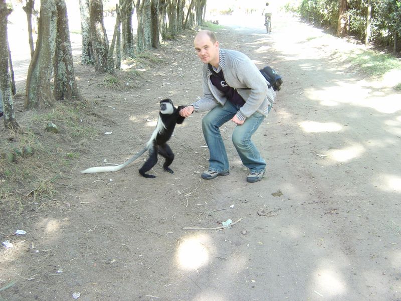 Monkeys -001.jpg