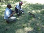 Monkeys -004.jpg