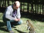 Monkeys -005.jpg