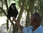 Monkeys -028.jpg