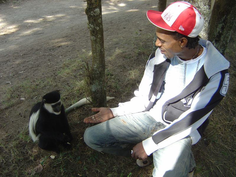 Monkeys -031.jpg