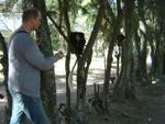 Monkeys -033.jpg