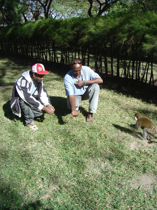 Monkeys -058.jpg