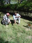 Monkeys -058.jpg