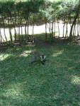 Monkeys -059.jpg
