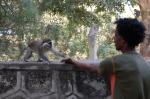 Monkeys -152.jpg