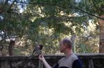 Monkeys -155.jpg