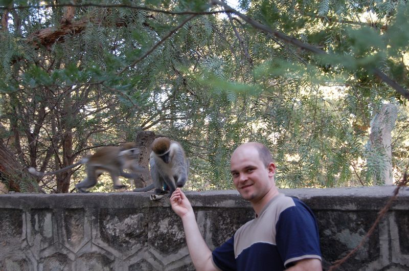 Monkeys -161.jpg