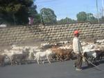 Addis Abeba -067.jpg