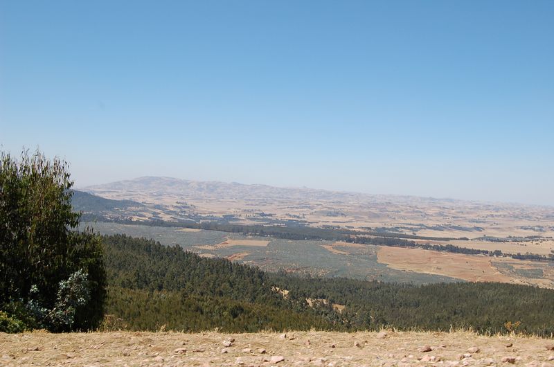Addis Abeba -093.jpg