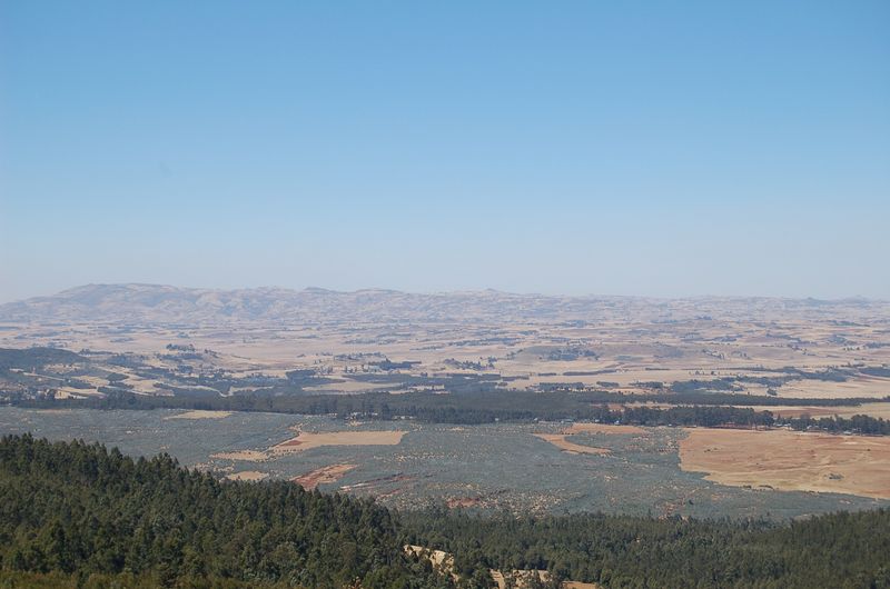Addis Abeba -096.jpg