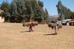 Addis Abeba -112.jpg