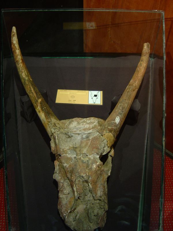 Addis Abeba -115.jpg