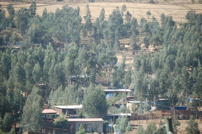 Addis Abeba -164.jpg
