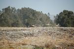 Addis Abeba -170.jpg
