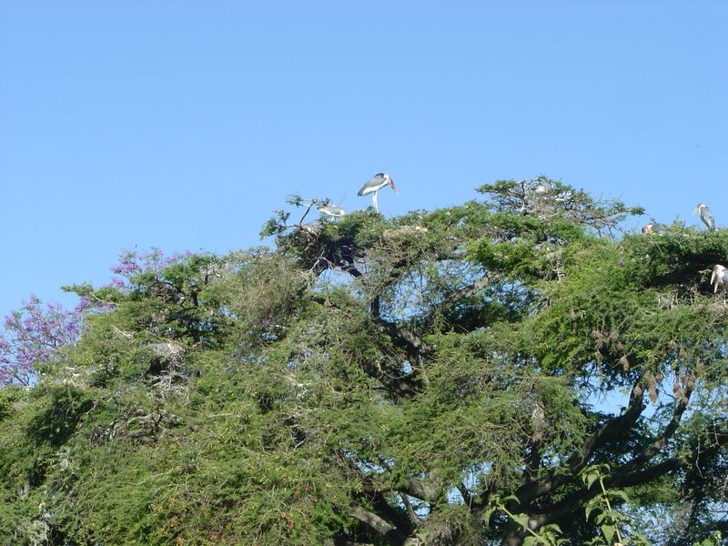 Awassa -015.jpg