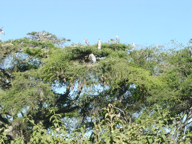 Awassa -016.jpg