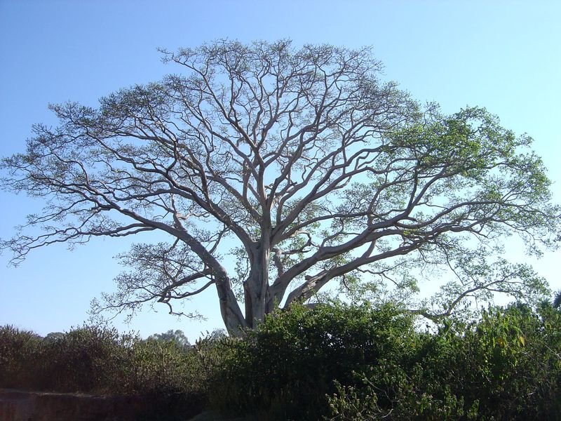 Awassa -018.jpg