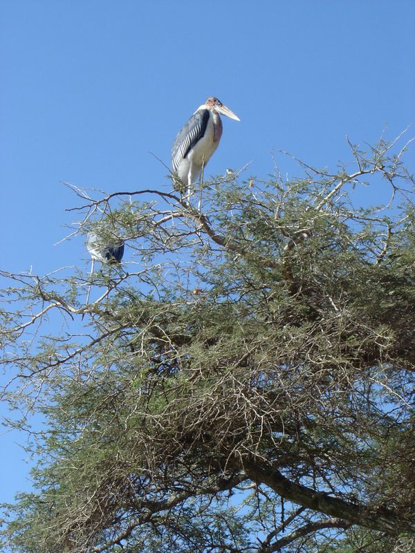Awassa -027.jpg
