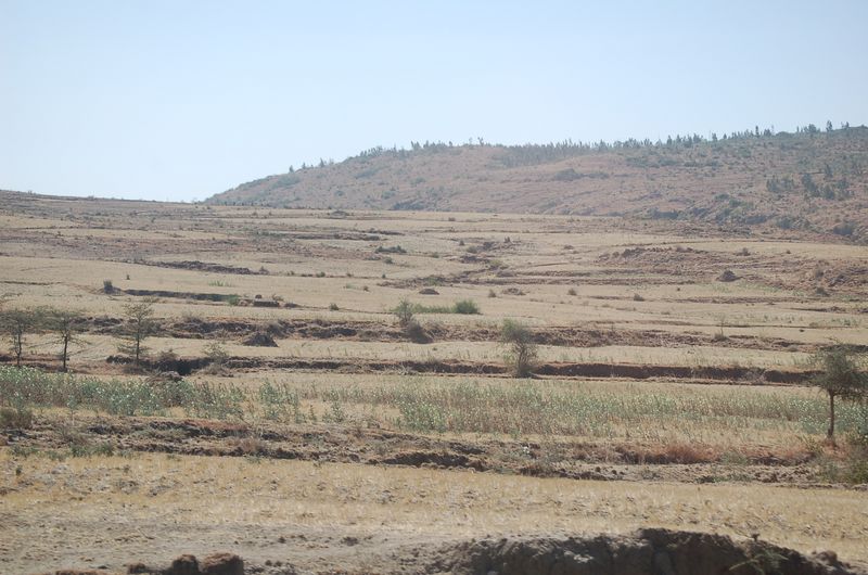 Nazaret -40.jpg