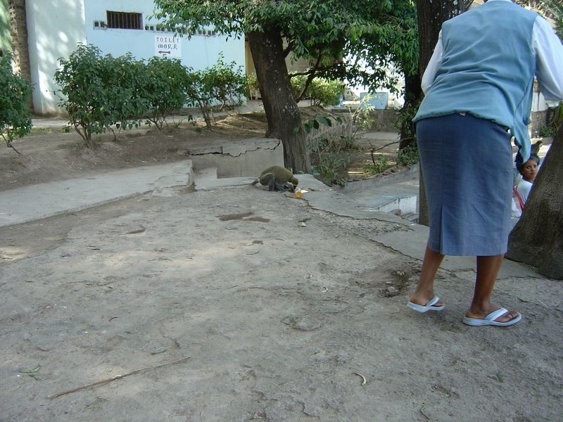 Nazaret -69.jpg