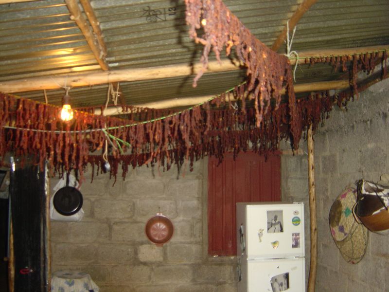 Food -04.jpg