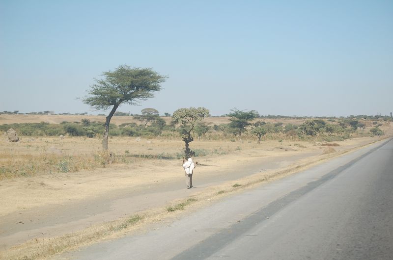 on the way -027.jpg
