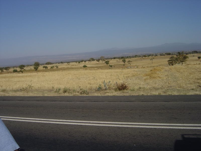 on the way -073.jpg
