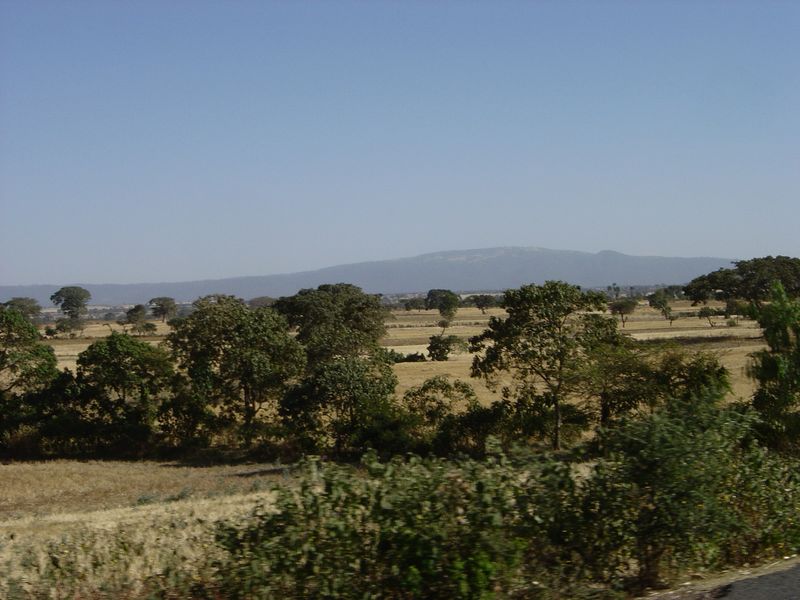 on the way -076.jpg
