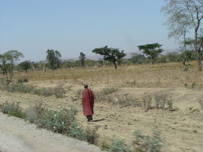 on the way -085.jpg