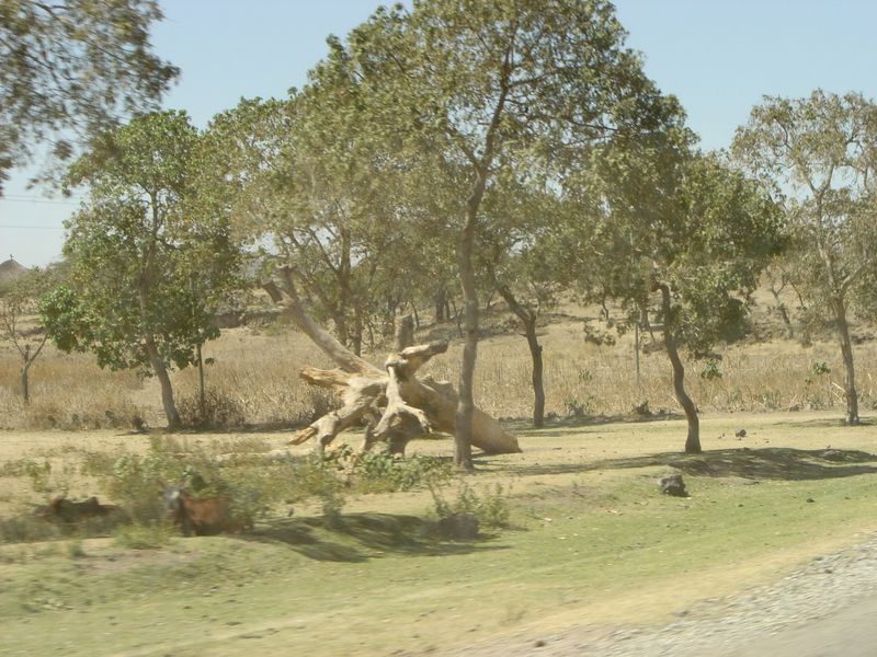 on the way -086.jpg